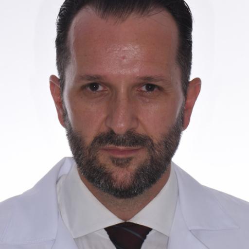 Profile image of Luis Mezzomo