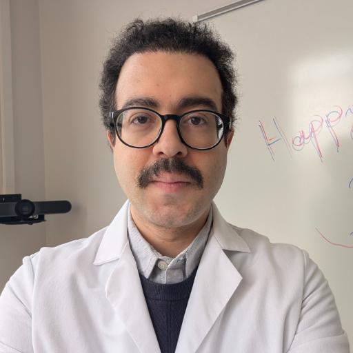 Profile image of Mostafa Montazeri