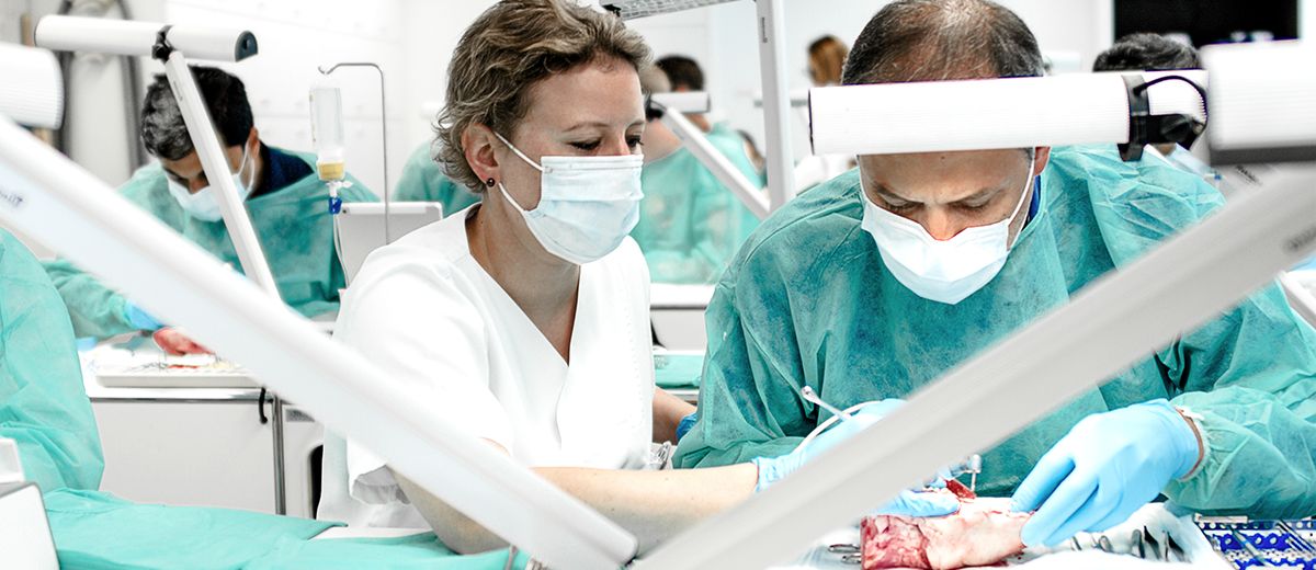 Online Curriculum Foundation level hands-on program